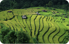 phone holding a phone